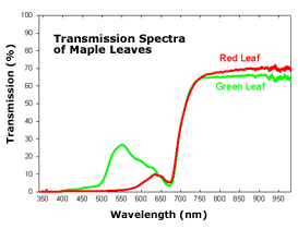 枫叶透射光谱图