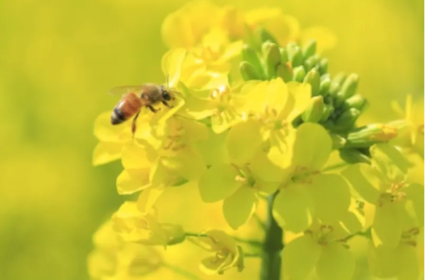 1679386720177977.png image.png