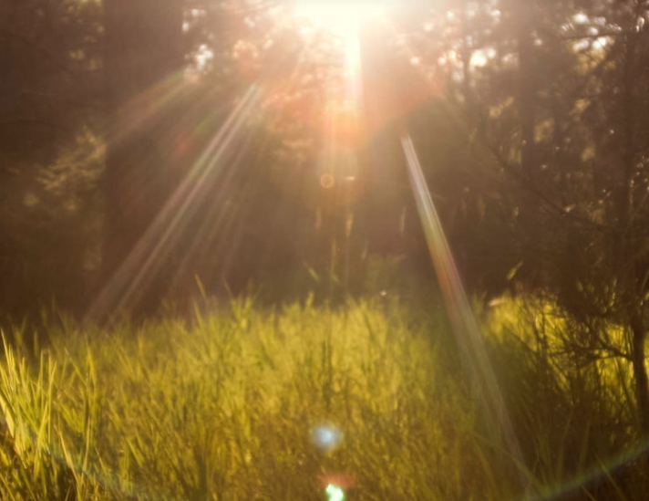 1700025561456994.png image.png