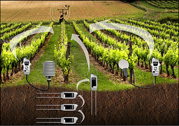 2HC-CWS无线土壤水分监测系统.png