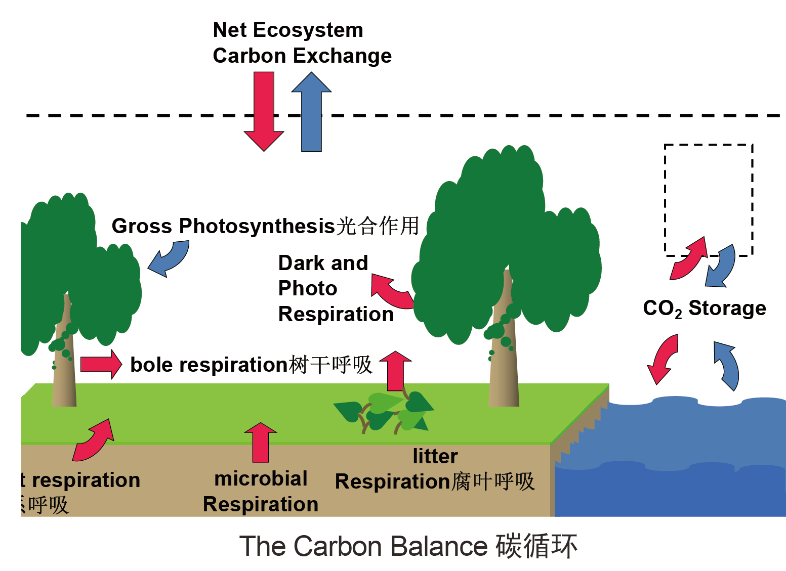 土壤剖面CO2-O2廓线1.png